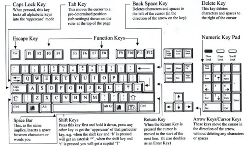 Arrow keys on a Saitek Gamers' keyboard